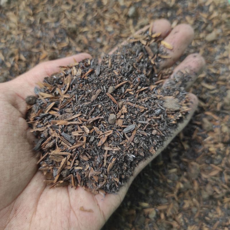 Media Tanam Kaktus Dan Sukulen Siap Pakai