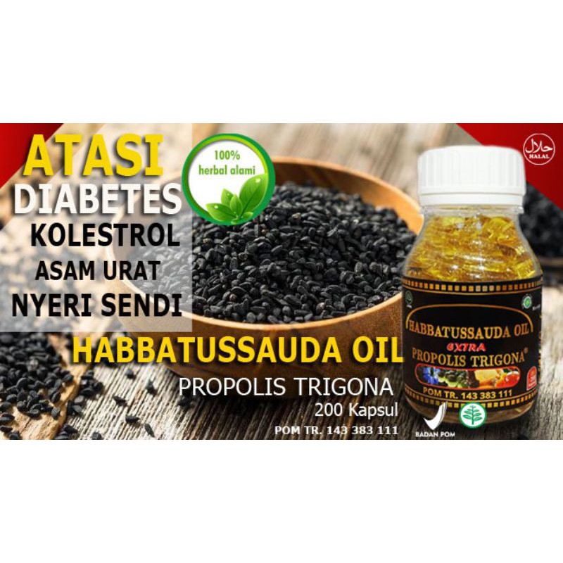 Habbatussauda propolis trigona