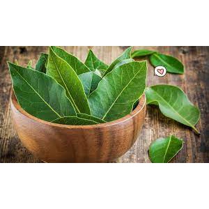 

homemade// daun salam segar bumbu rempah masakan rumah