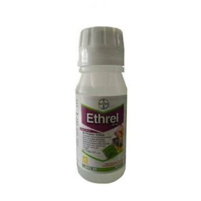 ZPT Ethrel 100 mL