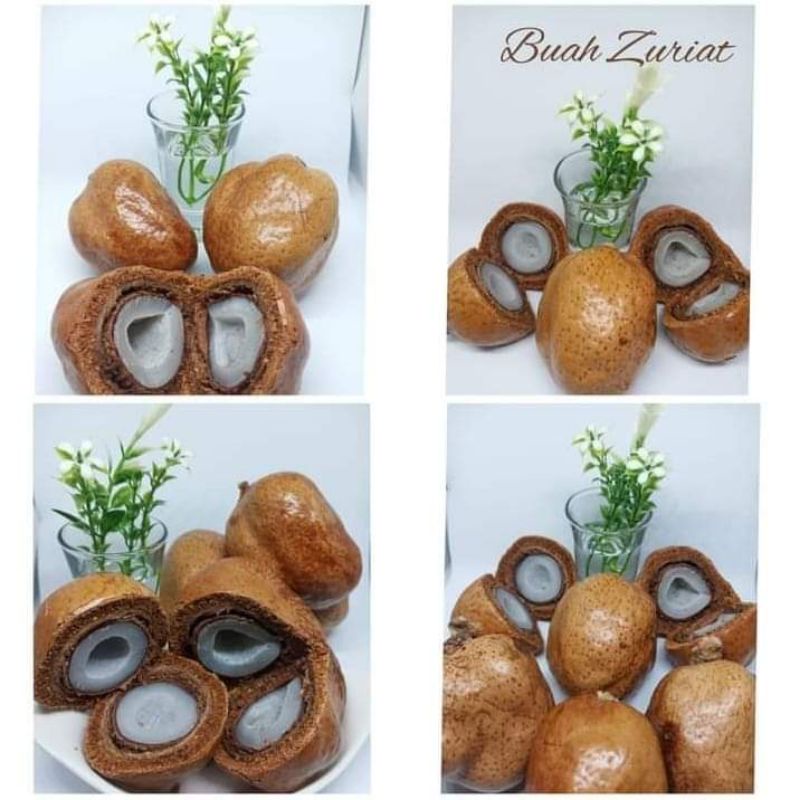 

BUAH ZURIAT DOUM 360 GR UNTUK PROMIL