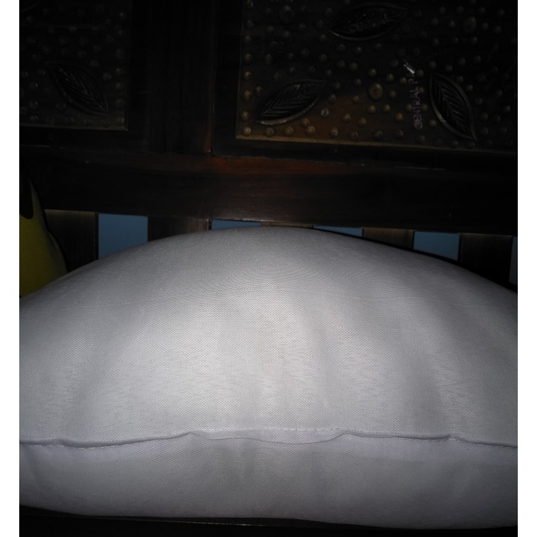 Bantal Kursi / Bantal Sofa Silikon uk 40