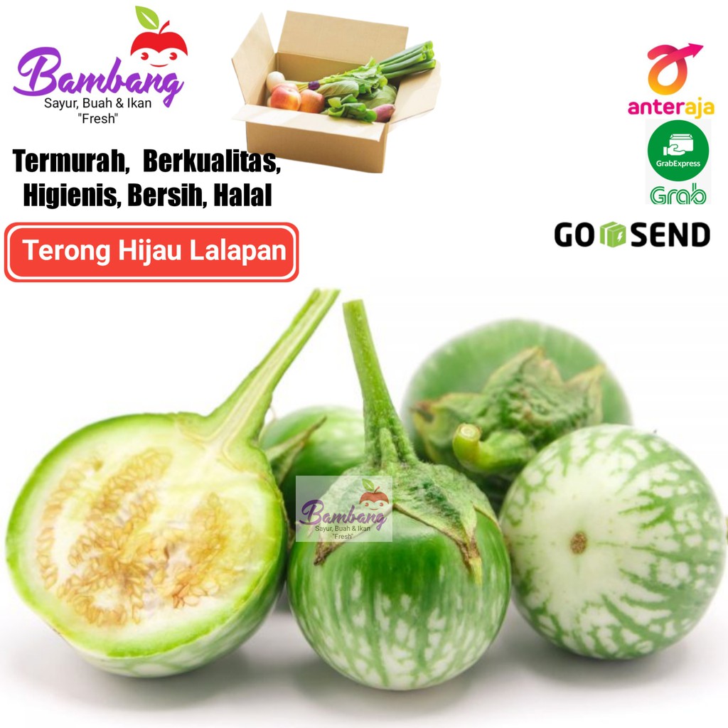 

terong lalap terong hijau lalap sayur segar 5 pcs