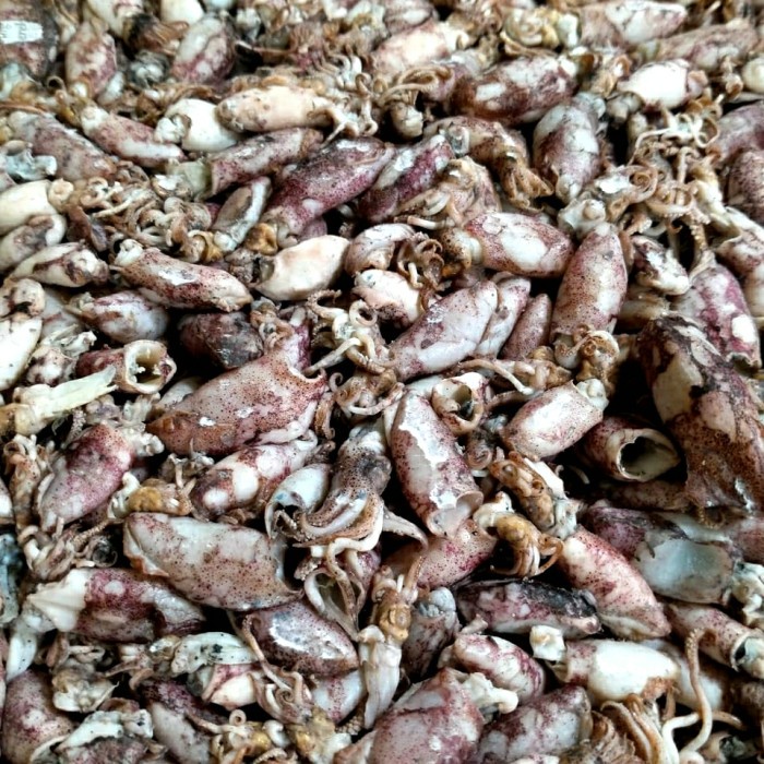 

cumi baby asin kering(250grm)