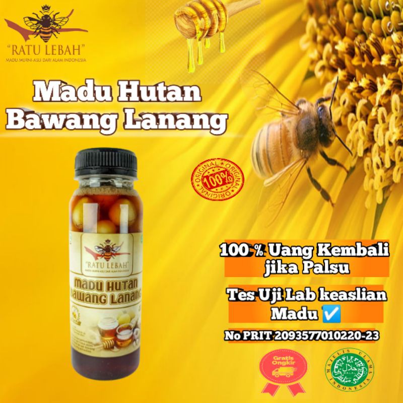 

MADU HUTAN BAWANG LANANG RATU LEBAH/BAWANG LANANG/BAWANG TUNGGAL/LEBAH MADU/RATU LEBAH/MADU BAWANG