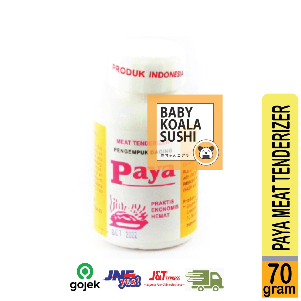 BUMBU PAYA Pengempuk Daging 70 g