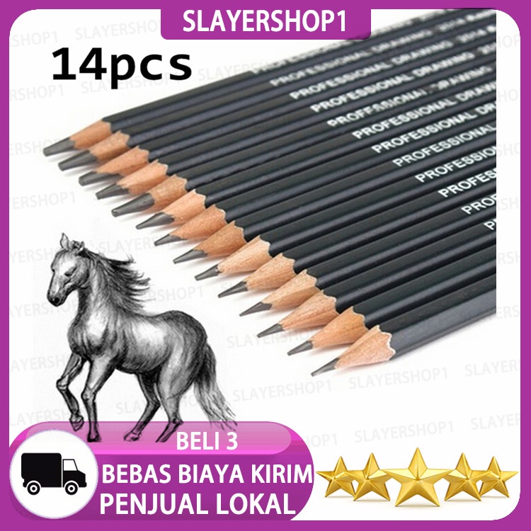 

Slayershop 14 Pcs Professinal Sketsa Seni Menggambar Pensil 6H-12B Sketsa Pensil-Internasional