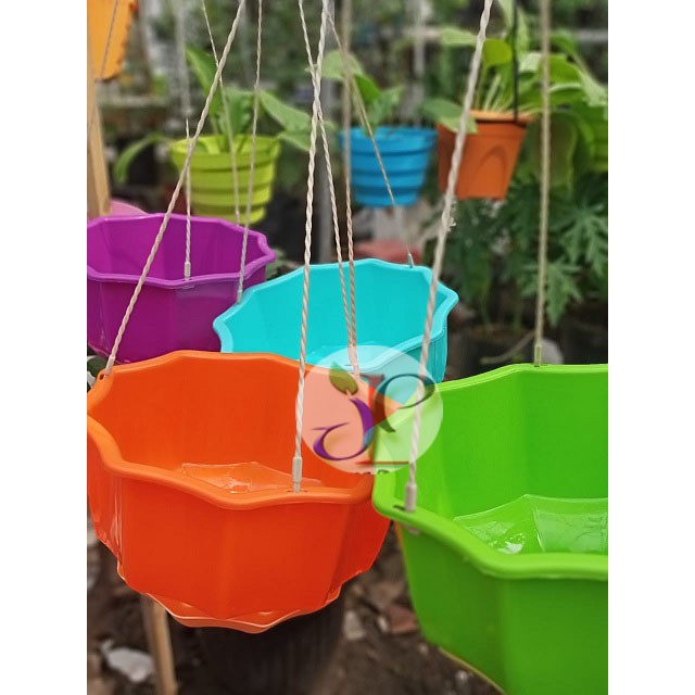POT GANTUNG ENOKI 8 WARNA