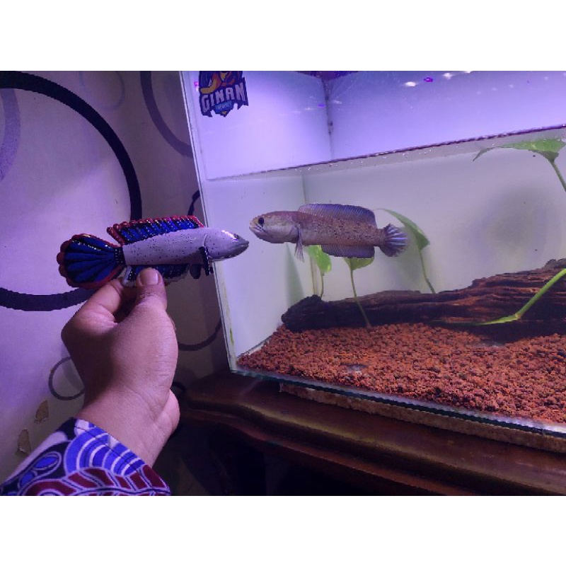 Patung Channa / Patung Chana