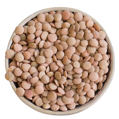 

Natural Brown Lentils 500 Gr