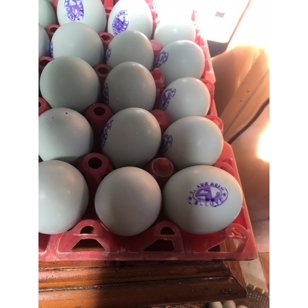 

telur asin