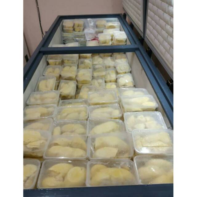 DURIAN MONTONG SULAWESI / DUREN MONTHONG / DUREN UCOK MEDAN
