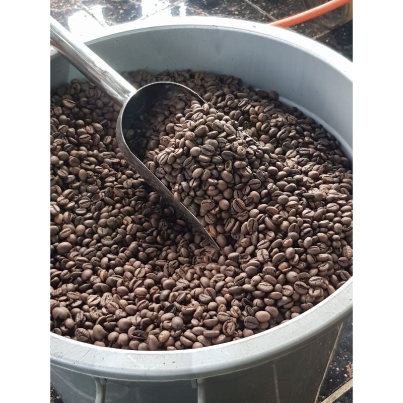 

robusta ulubelu roasbeans