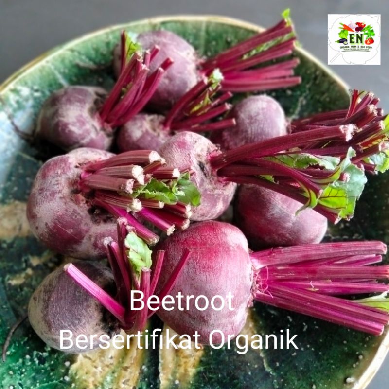 

Sayur Organik Buah Beetroot 100% Bersertifikat Organik VegetableMurah Sehat Healthy Life Grosir Supermarket