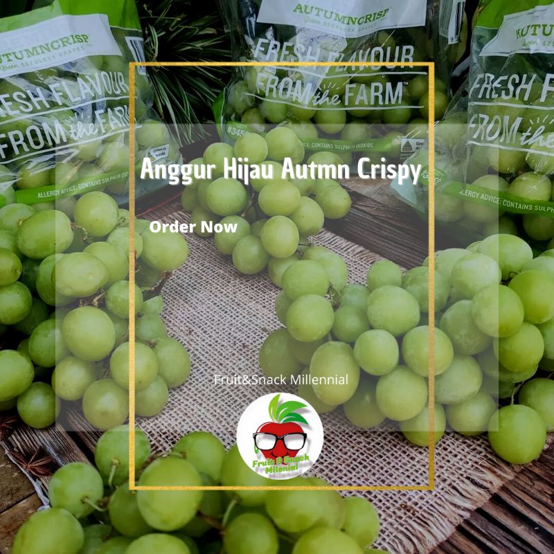 

Anggur Hijau Autmn Crispy Ausie Non biji 1 pack 300gr