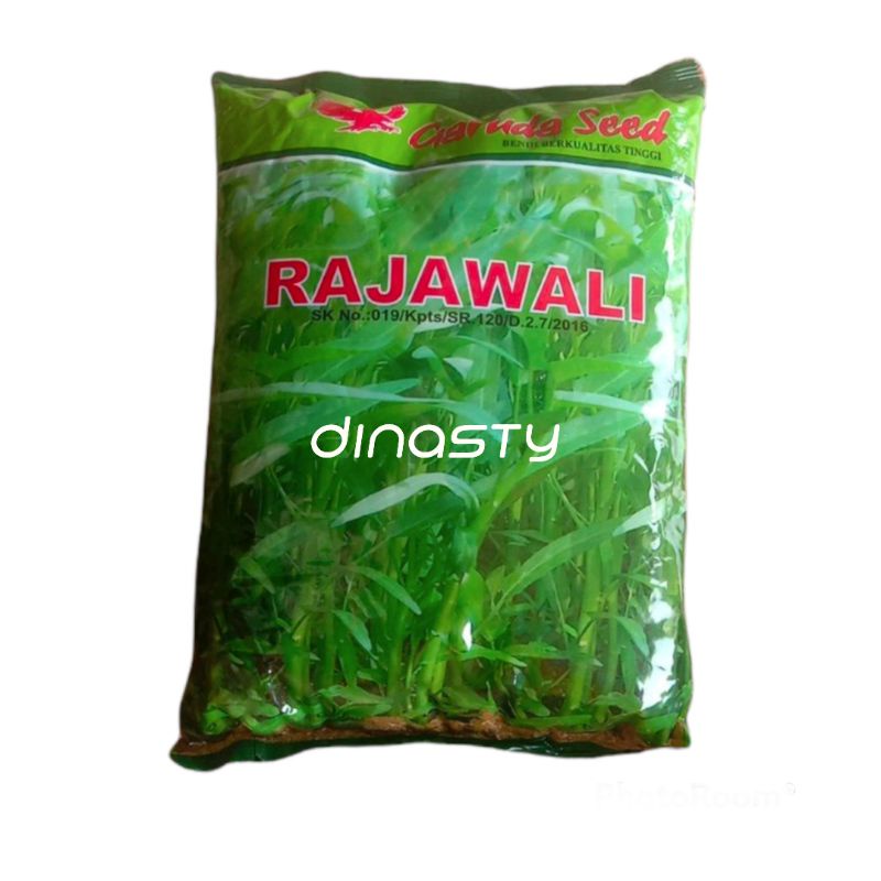 Benih Kangkung RAJAWALI 1000 Gram Bibit Kangkung Benih KANGKUNG DARAT Benih Kangkung Unggul Benih Ka