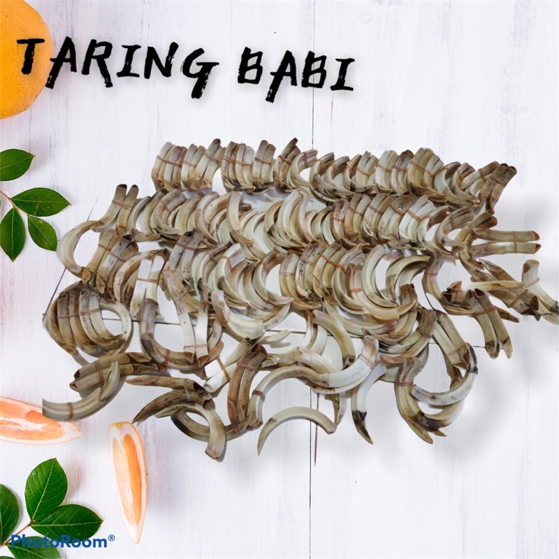 OBRAL LIONTIN TARING BABI ORIGINAL 10cm