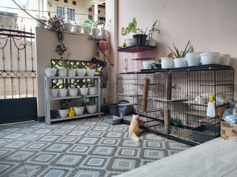 Sikacim Concrete Additive, Accelerator, Bonding Adhesive