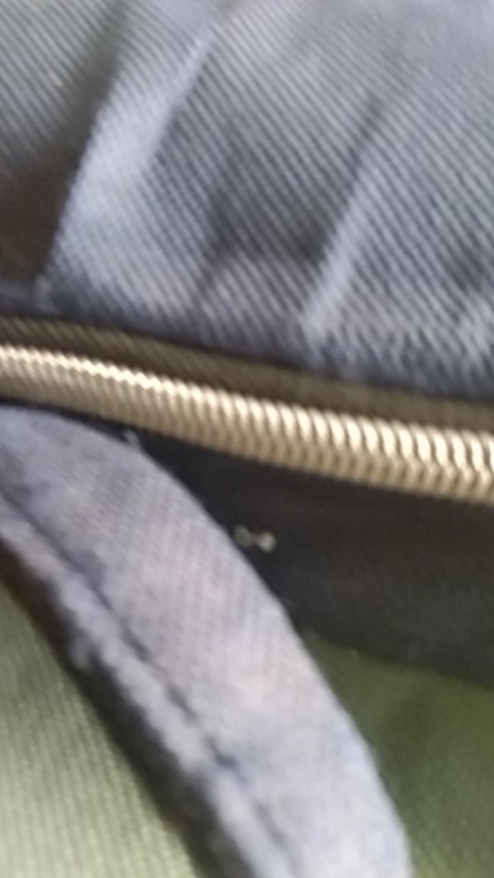 Payung 3 Dimensi / Payung 3d / Berubah Motif Saat Hujan Plus Sarung Payung/ Payung Lipat