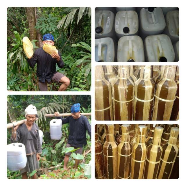 

Madu odeng suku baduy