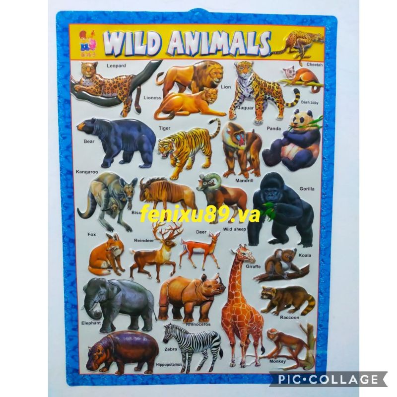 Poster Timbul Edukasi Anak Wild Animal Binatang Buas Hewan Buas