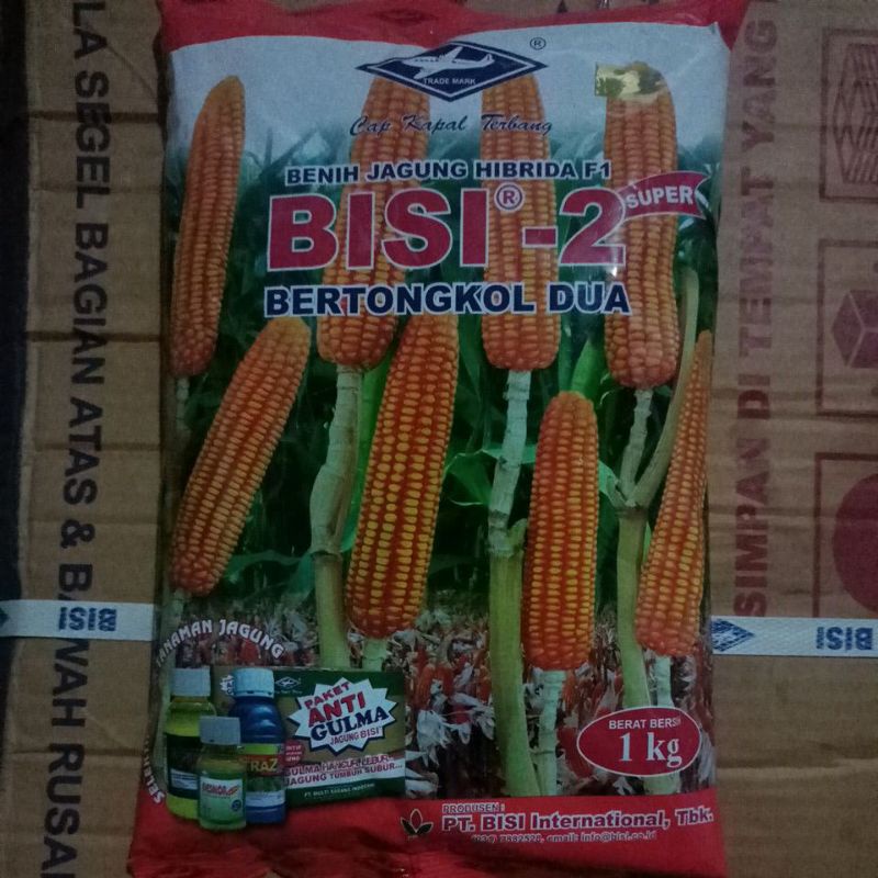 Jual Benih Jagung Hibrida BISI 2 1Kg | Shopee Indonesia