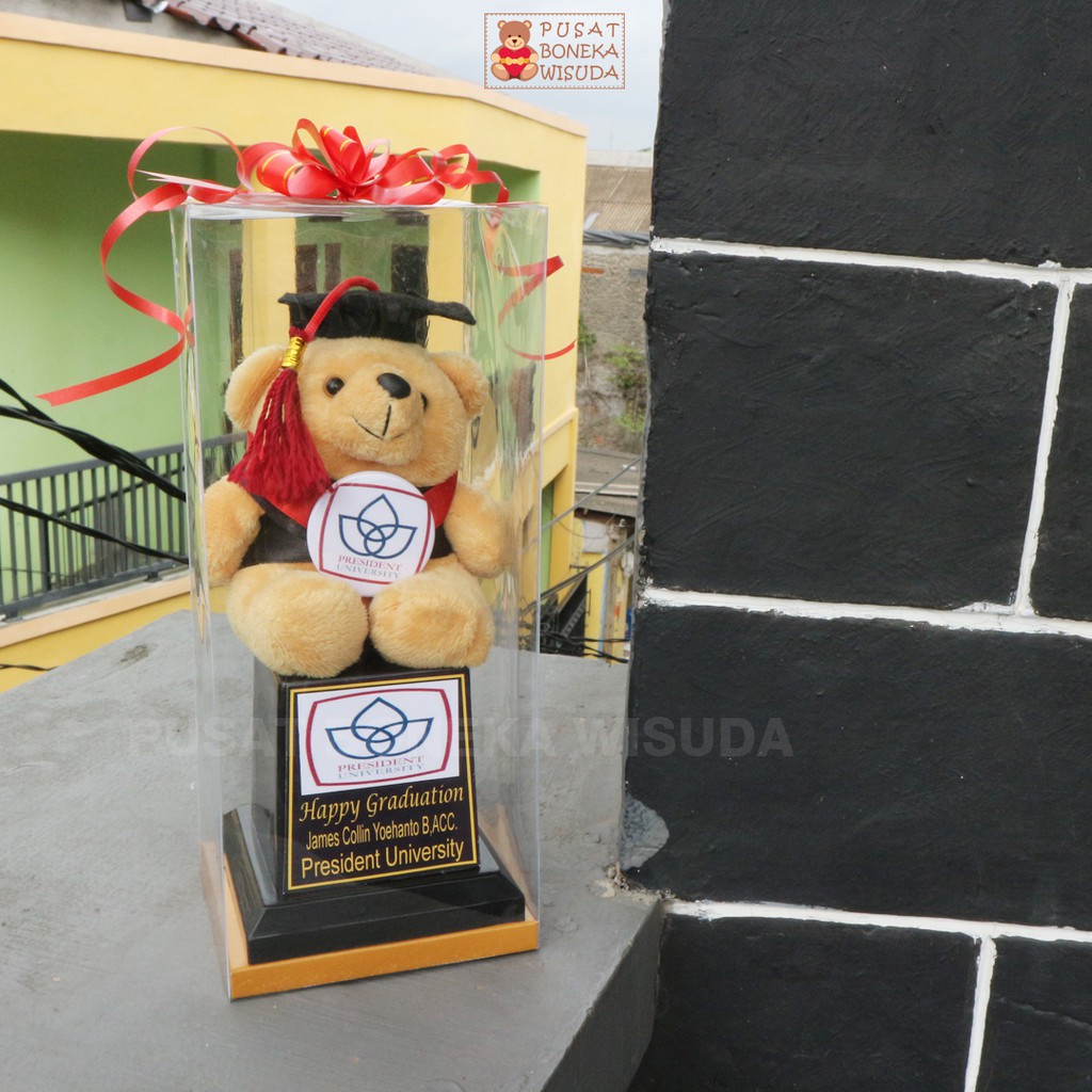 Piala Boneka Wisuda Mika Kado Hadiah Souvenir sekolah TK PAUD SD SMP Grosir Murah anak nama Custom