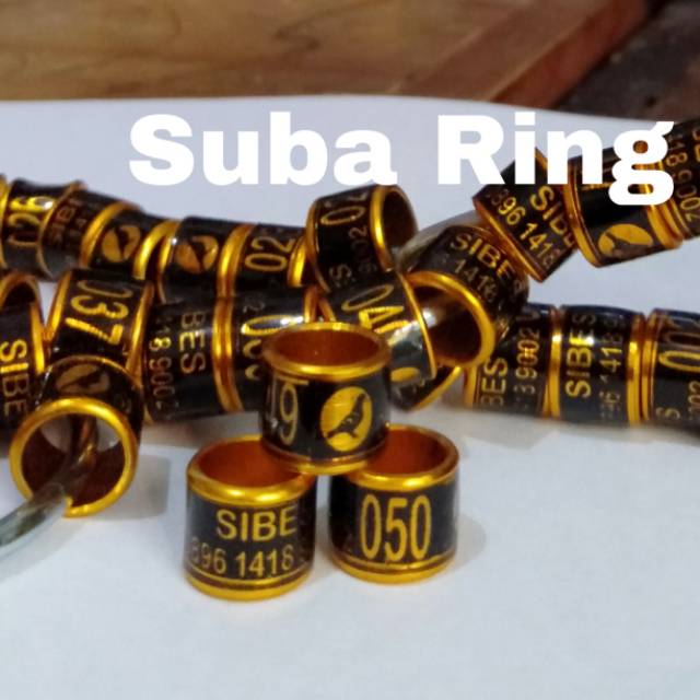 Ring Burung Roda Merpati