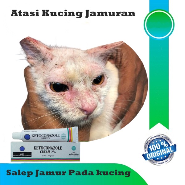 Salep Kucing jamuran Salep gatal pada kucing / Obat gatal hewan peliharaan Rumah /salep obat kucing 