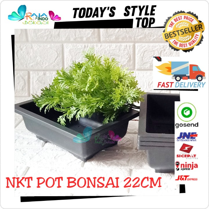 Pot Bonsai 01 Nkt 22 Cm Pot Kotak Bonsai Ceper Hitam Orange Hijau Putih - Bukan Pot Keramik Gabah