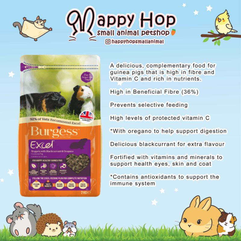Jual Burgess Guinea Pig Marmut Blackcurrant Oregano repack 1kg Shopee