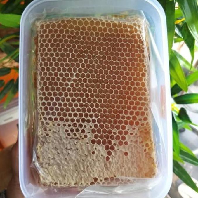 

9H476R- Madu Sarang Jenis Lebah Apis Mellifera Dyu5Ge4-