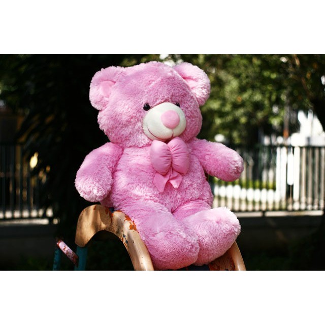 Boneka Beruang Teddy Bear Besar Pink Lucu
