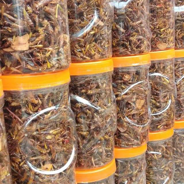 

Belalang goreng