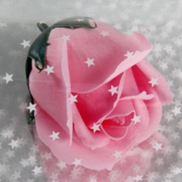 Star Motif Opp Kertas Bunga Wrapping Cellophane Paperwrap Buket Bunga Bungkusan Bunga / Flower Wrapping / Cellophane / Wrap / Kertas Bunga / Kertas Kado / Flower Paper / Kertas Grosir / Kertas Import / Kertas Cellophane / Florist / Buket Bunga / Florist S