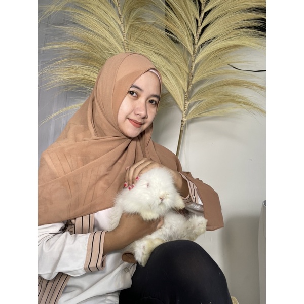 kelinci anggora