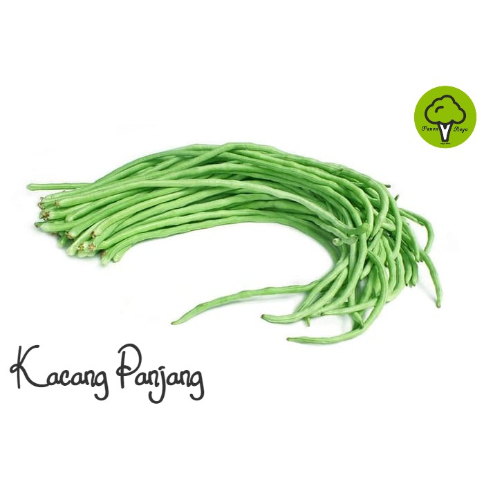 

SAYURAN / KACANG PANJANG [250GR]