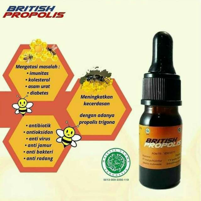 British propolis asli