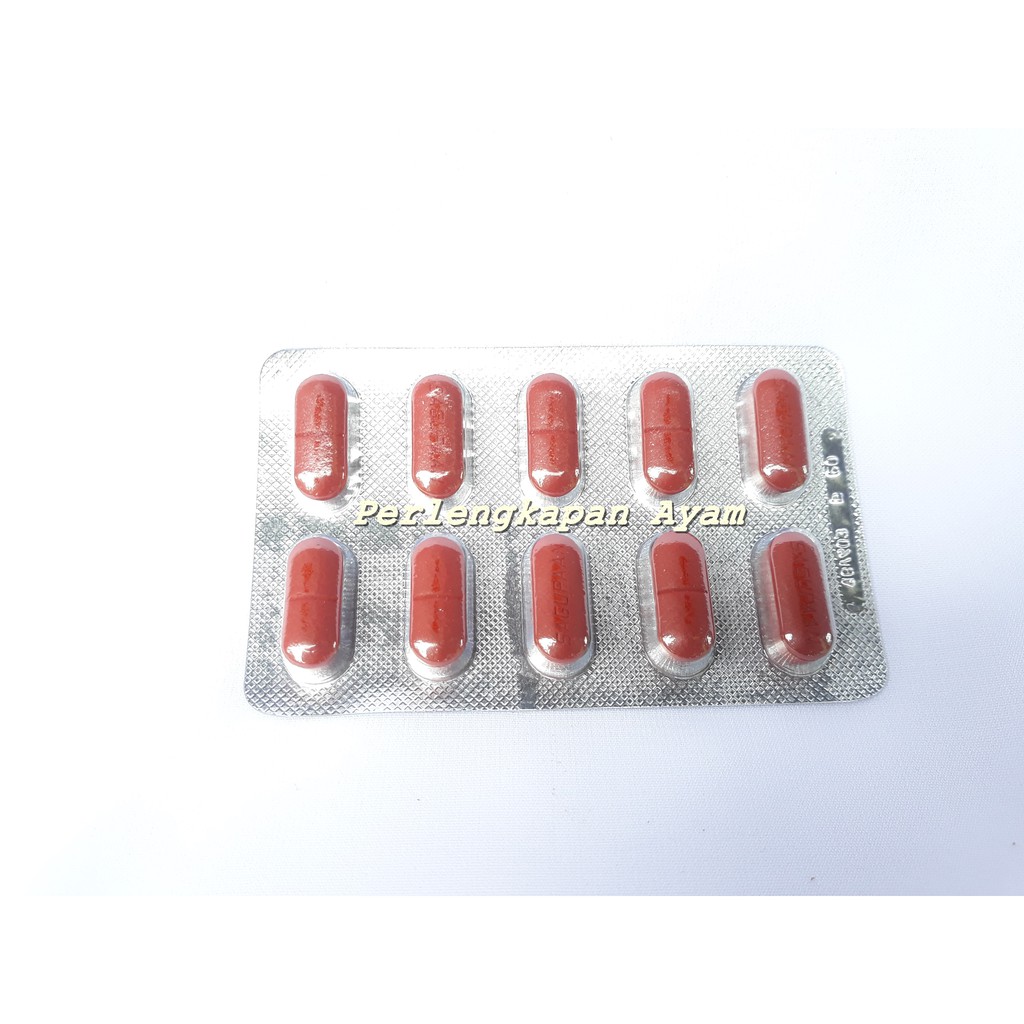 B 50 Forten, Obat Anemia Ayam, Obat Ayam Sehat, Obat Ayam Kekurangan Darah