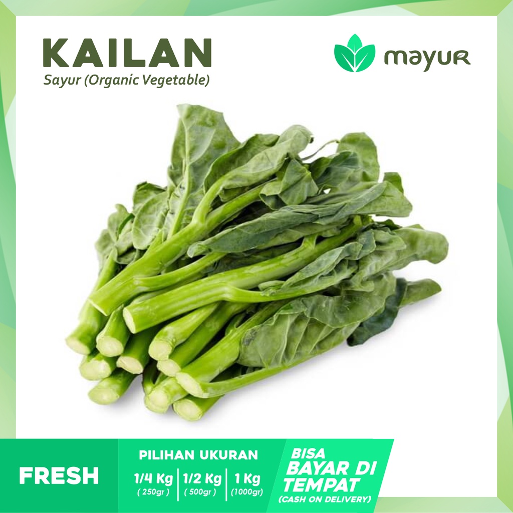 

Kailan / Sayur Khailan / Chinese Broccoli ( 250gr | 500gr | 1kg )