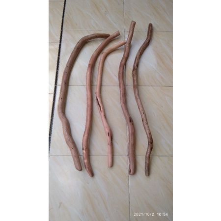 tongkat jalan kayu stigi polosan