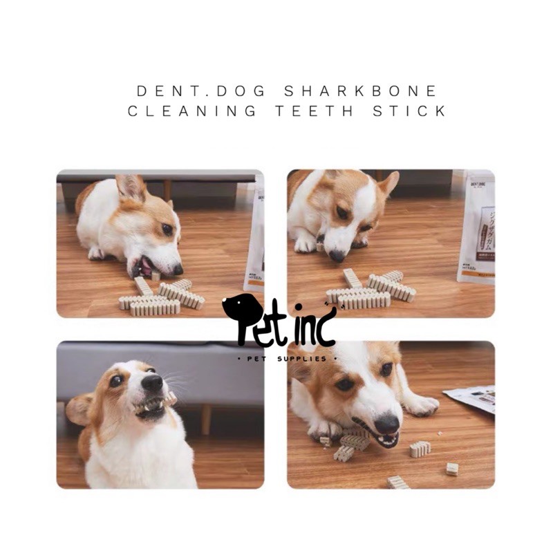 Dent.dog single cleaning teeth sharkbone stick ( SINGLE)