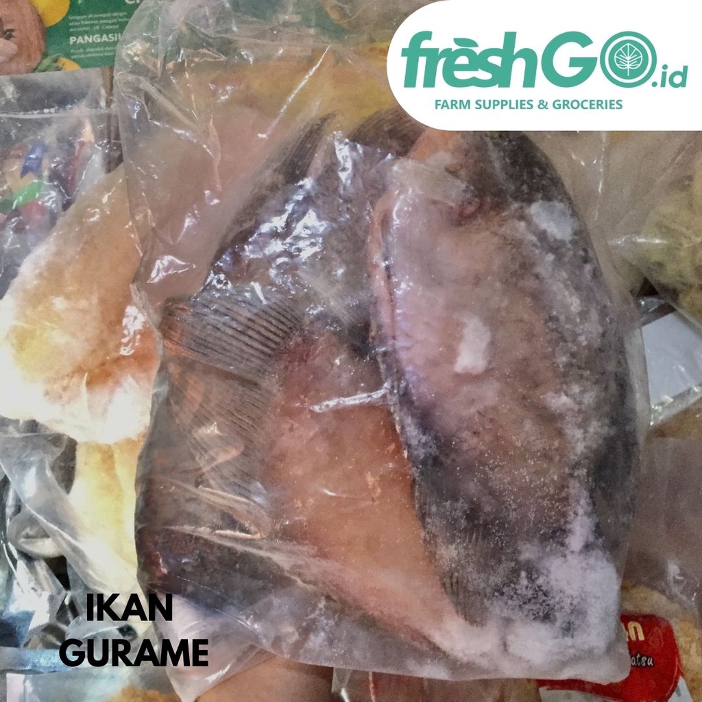 

Ikan Gurame Frozen Segar | FRESHGO