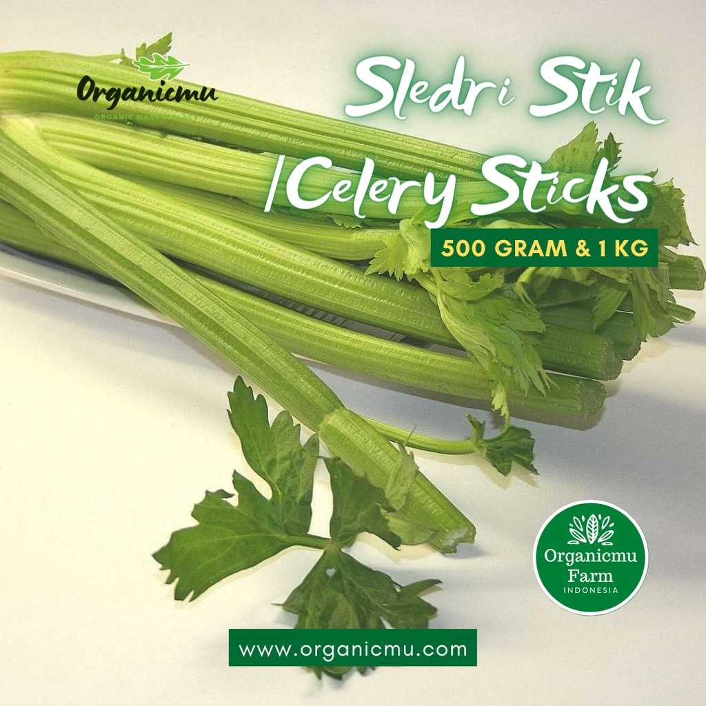 

Organicmu - Seledri Stik 1 kg