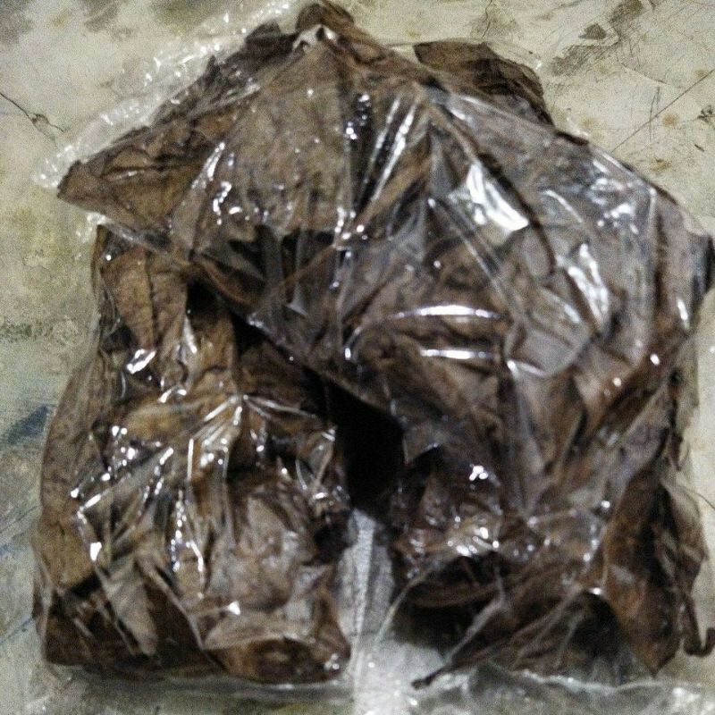 Extra ketapang laut pekat 30gram