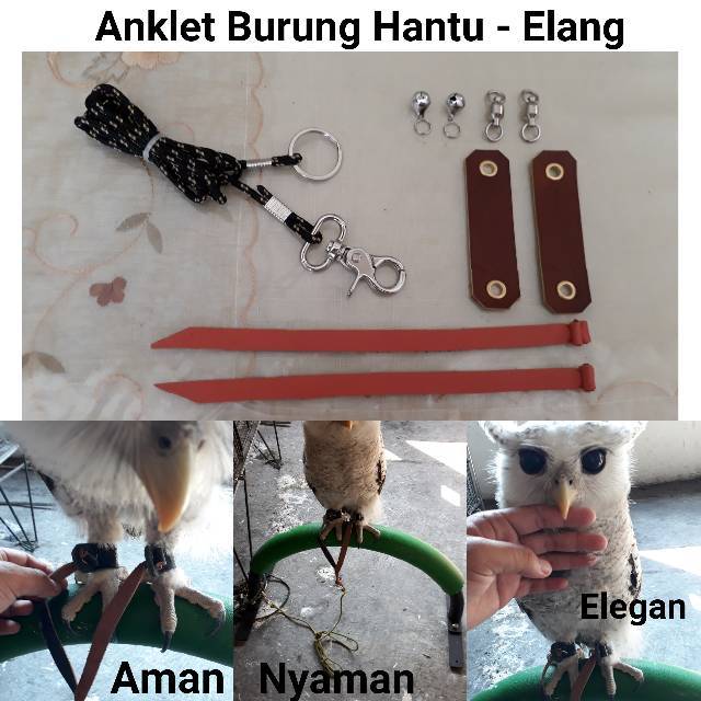 Anklet Burung Hantu Elang Ukuran S Shopee  Indonesia