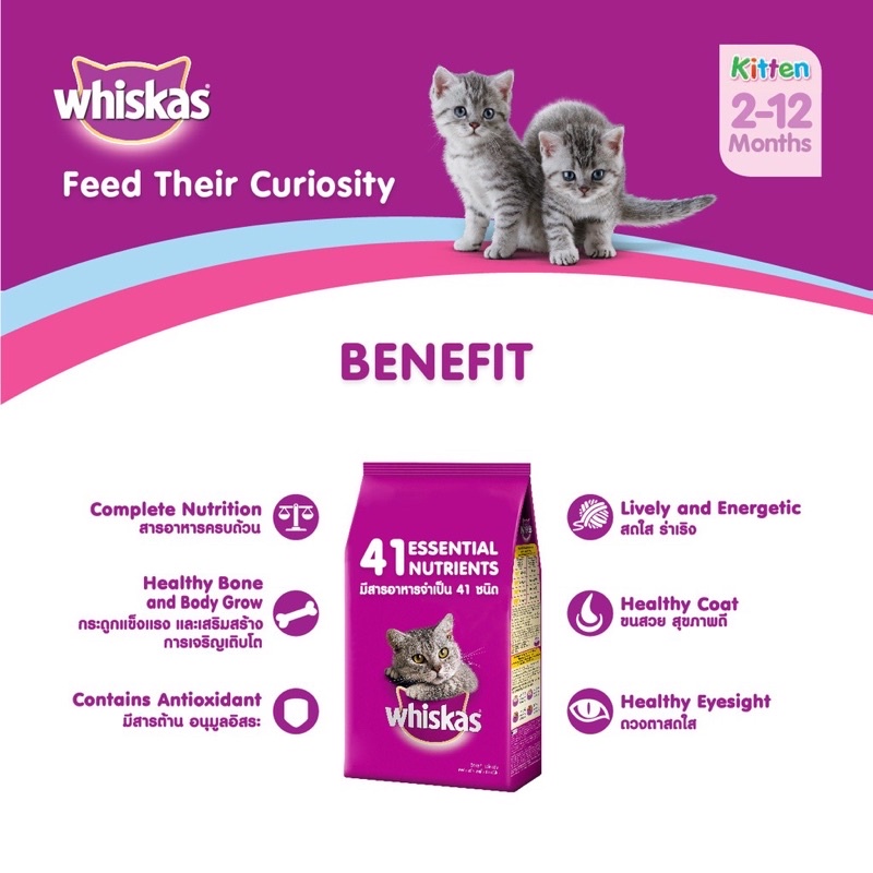 WHISKAS MAKANAN KUCING KITTEN ANAKAN MACKEREL OCEAN FISH WITH MILK DRAY FOOD KUCING