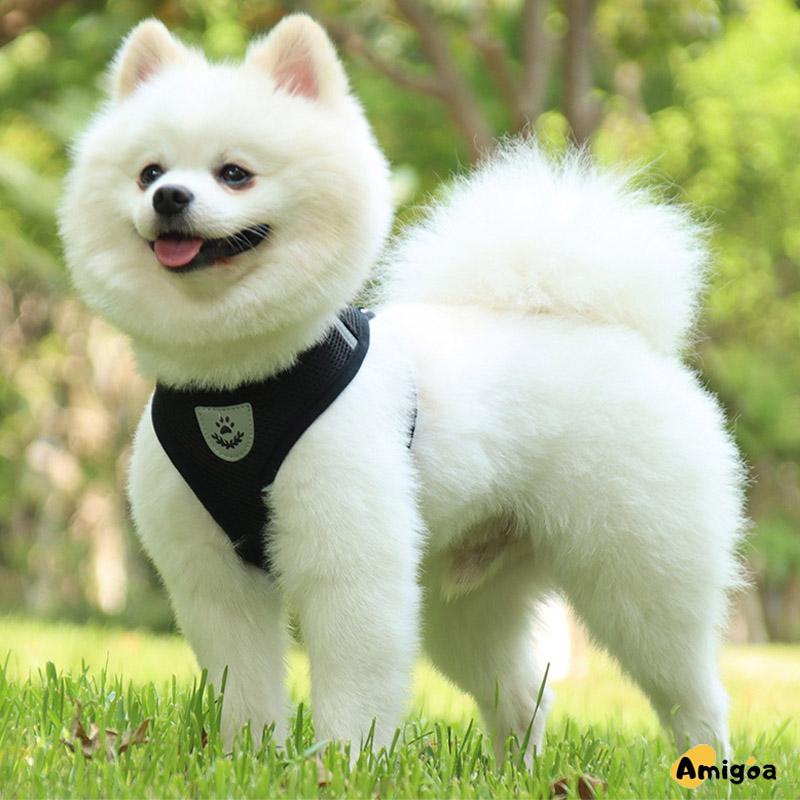 Pet Chest Back Leash Mesh Strip Reflektif Crossing Road Perlengkapan Hewan Peliharaan tahan aus - AG2