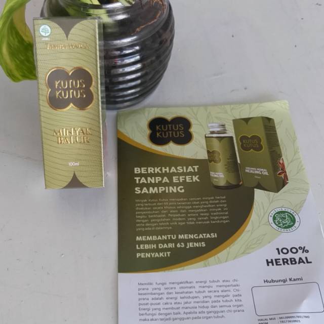 Kutus kutus original (#Minyak Balur Kutus Kutus asli)