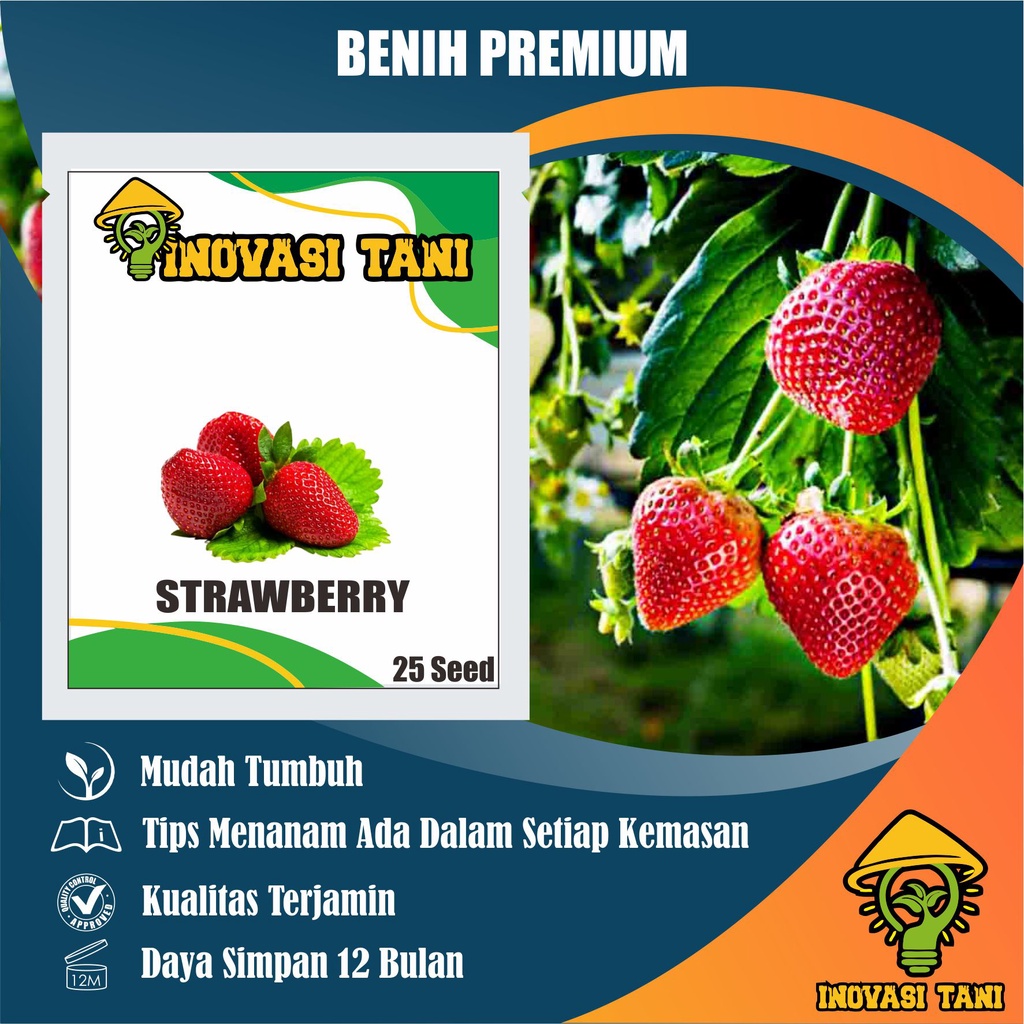 Jual BENIH BIBIT BIJI BUAH STRAWBERRY SUPER TANAMAN UNGGUL Benih Bibit ...